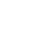 Caretta Caretta