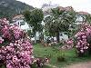 Hotels in Cirali/Olympos Aida Hotel