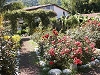 Hotels in Cirali/Olympos Azur Hotel