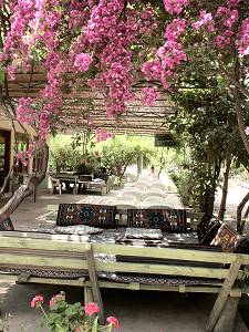 Olympos Pension, shady garden 